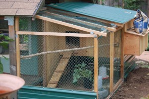 Chicken Coop close up